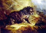 George Armfield Famous Paintings - A Terrier and a Hedgehog